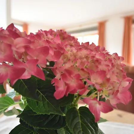 In Near The Baltic Sea Ostseebad Kühlungsborn