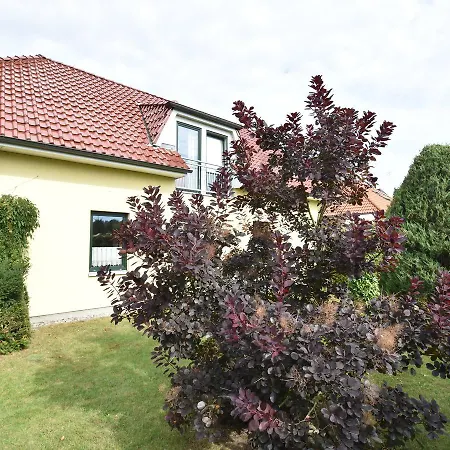 In Near The Baltic Sea Daire Kühlungsborn