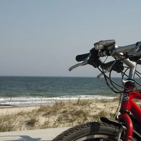 In Near The Baltic Sea