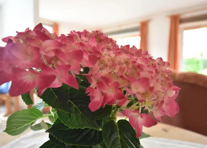 In Near The Baltic Sea Kühlungsborn