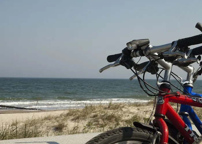 In Near The Baltic Sea