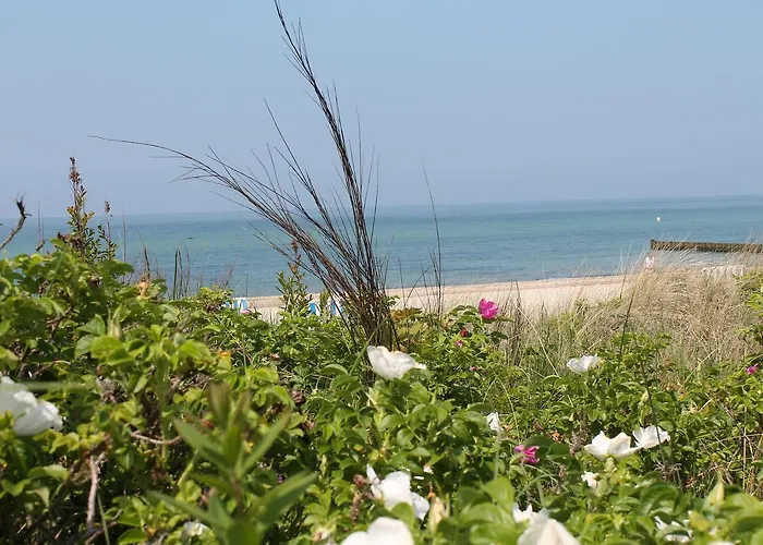 In Near The Baltic Sea Daire